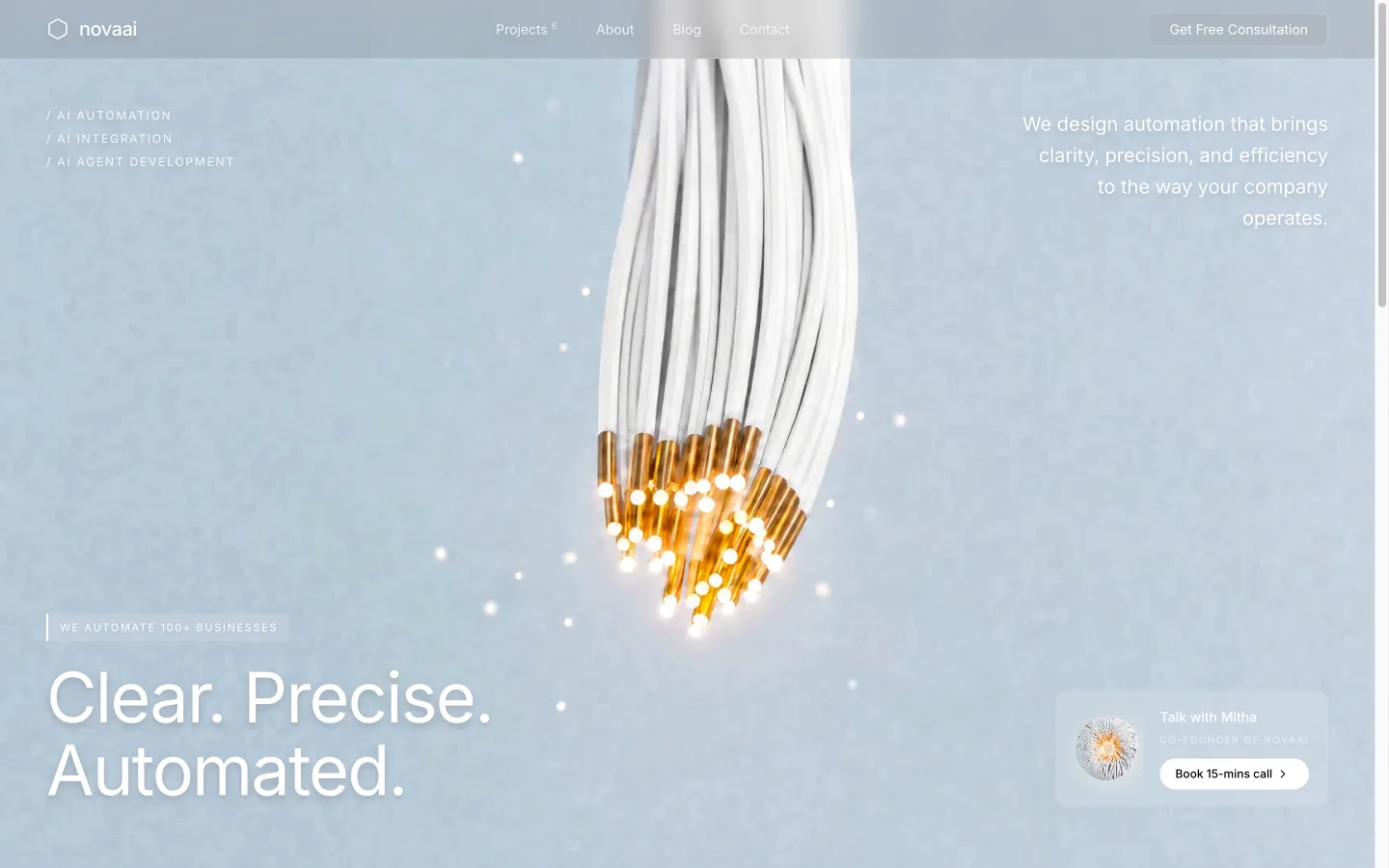NovaAI şablon önizlemesi
